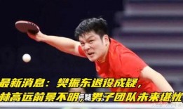 樊振东最新爆料,备战东京奥运的幕后故事与心路历程”